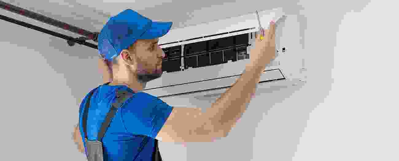 Renovix